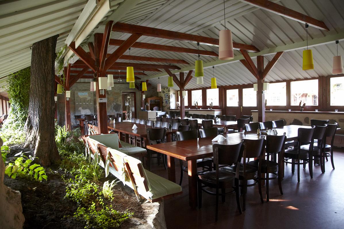Zdjęcie stołów w jadalni po lewej drzewo wrastające w dach jadalni