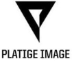 Logo firmy Platige Image