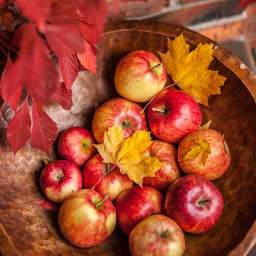Jabłka w drewnianej misce przykryte jesiennymi liścmi