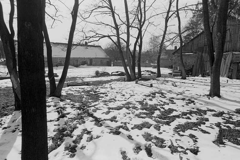 Folwark Badowo dawniej zdjęcie zimowej przyrody